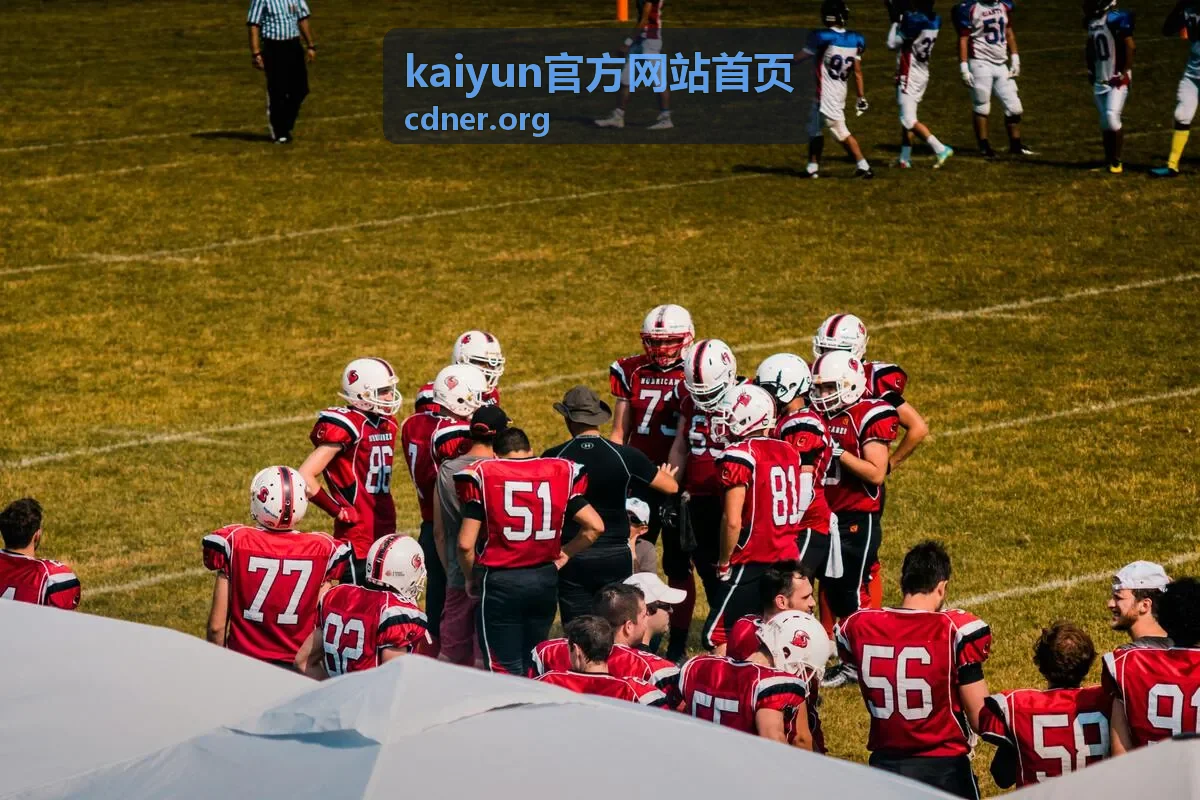 隐私与数据范围设置示意，说明 kaiyun官方网站首页 的隐私选项